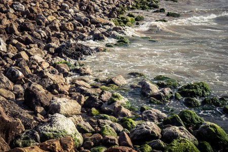 Tel Aviv, Israel, âMarch 16, 2026 A view of the Mediterranean Sea shoreline with waves breaking against the coastal rocks. The scene illustrates the natural beauty of the Tel Aviv coast, situated just steps away from urban infrastructure and public safeのeditorial素材