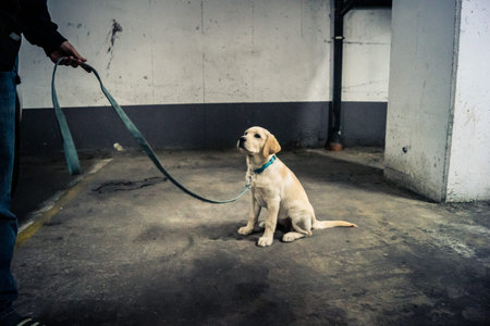 Tel Aviv, Israel, March 22, 2026 People rushing into a public bomb shelter or miklat and waiting inside during an air raid siren in the Florentin neighborhood while seeking protection during a missile attack.のeditorial素材