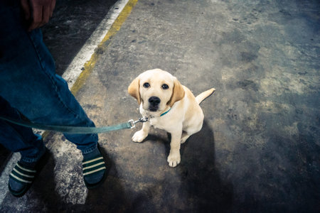 Tel Aviv, Israel, March 22, 2026 People rushing into a public bomb shelter or miklat and waiting inside during an air raid siren in the Florentin neighborhood while seeking protection during a missile attack.のeditorial素材