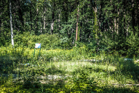 Lisne, Ukraine, August 5, 2025 Feldman Ecopark is a landscaped park that combines animal care and therapy for children with special needs. The site was occupied by the Russian army in 2022.のeditorial素材