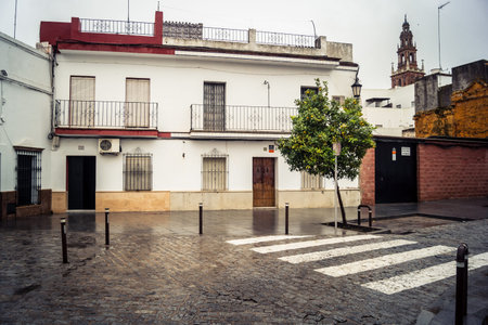 Carmona, Spain, November 15, 2025 Cityscape of the historic downtown district of Carmona which is made up of narrow and picturesque streets typical of Andalusia.のeditorial素材