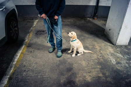 Tel Aviv, Israel, March 22, 2026 People rushing into a public bomb shelter or miklat and waiting inside during an air raid siren in the Florentin neighborhood while seeking protection during a missile attack.のeditorial素材