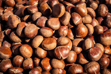 Hebron, Palestinian Territory, February 5, 2026 Traditional outdoor market in Hebron old city. Fresh fruits and vegetables at a local stall, showing daily life and commerce in the West Bank center.のeditorial素材
