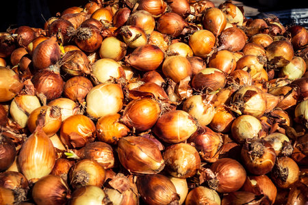 Hebron, Palestinian Territory, February 5, 2026 Traditional outdoor market in Hebron old city. Fresh fruits and vegetables at a local stall, showing daily life and commerce in the West Bank center.のeditorial素材