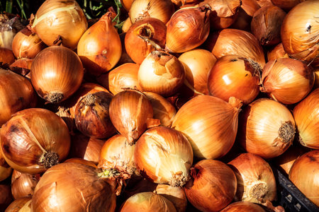 Hebron, Palestinian Territory, February 5, 2026 Traditional outdoor market in Hebron old city. Fresh fruits and vegetables at a local stall, showing daily life and commerce in the West Bank center.のeditorial素材