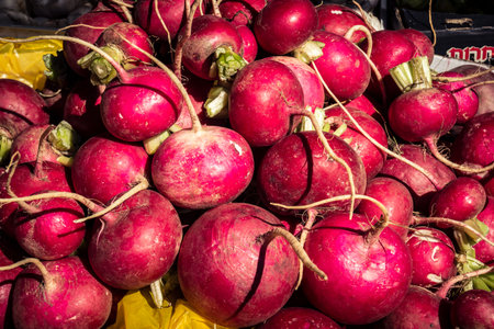 Hebron, Palestinian Territory, February 5, 2026 Traditional outdoor market in Hebron old city. Fresh fruits and vegetables at a local stall, showing daily life and commerce in the West Bank center.のeditorial素材