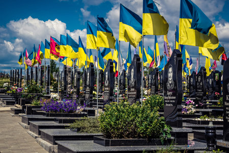 Kharkiv, Ukraine, July 3, 2025 Yellow and blue flags flutter as far as the eye can see at Aleya...