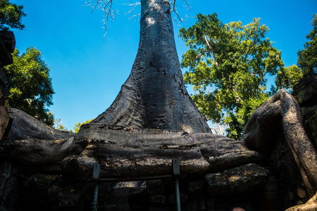 Siem reap, Cambodia, January 21, 2025 Architecture of Banteay Kdei temple at Angkor Wat complex, a...