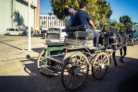 Seville, Spain, November 18, 2025 Horse pulling a carriage at the International Horse Show, SICAB,...
