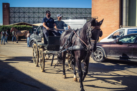 Seville, Spain, November 18, 2025 Horse pulling a carriage at the International Horse Show, SICAB,...