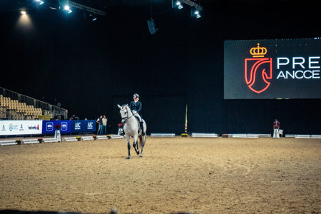Seville, Spain, November 20, 2025. Competition at the International Horse Show, SICAB, in Seville....