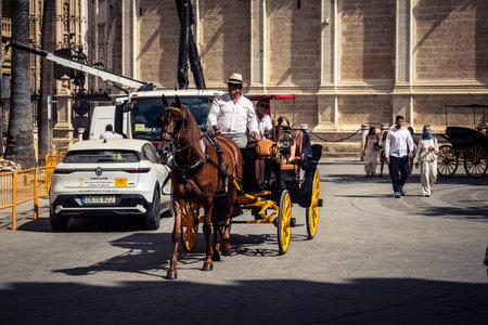 Seville, Andalusia, Spain. June 2, 2026. A beautifully maintained horse-drawn carriage carries international tourists past the historic landmarks of Seville. This iconic scene at the Plaza of Spain represents the romantic and timeless appeal of Andalusian
