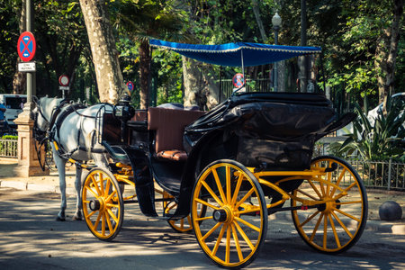 Seville, Andalusia, Spain, August 11, 2026. Traditional horse drawn carriages, known as coches de caballos, carry tourists through the historic city center of Seville. The iconic horse carriages offer sightseeing tours past major architectural landmarks i