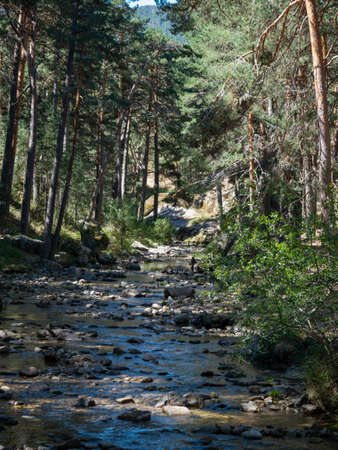 Solid wooden bridge crossing a stream in a natural space in Segovia.の写真素材