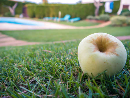 Close-up of a ripe apple fallen on the lawn of a back garden, with a pool out of focus in the backgroundの写真素材