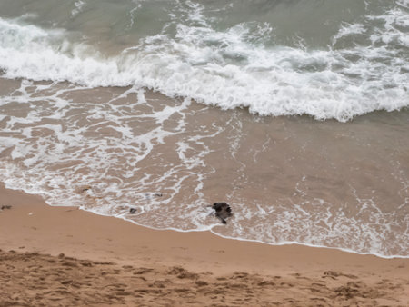 Seascape on a cloudy summer morning with calm sea in Valencia, Spainの写真素材