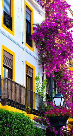 a floral balcony around townの写真素材