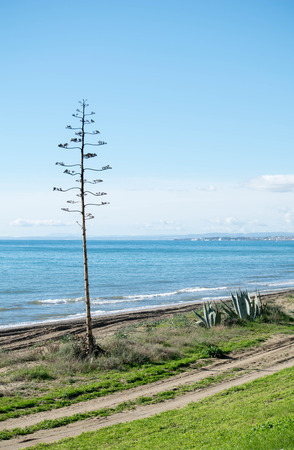 a beautiful seaside landscape taken in Marbella, Spainの写真素材