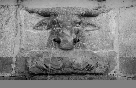 bull fountain close up in black and whiteの写真素材