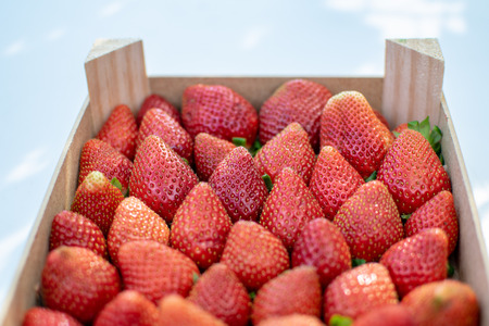 a selection of freshly picked strawberries in a wooden boxの写真素材