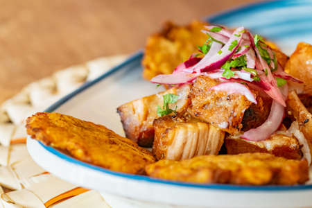a plate of fried plantain served with shredded beef drizzled with onion and lime dressing macro