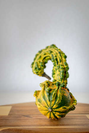a image of a unusually shaped green and yellow pumpkin standing on a wooden chopping boardの写真素材