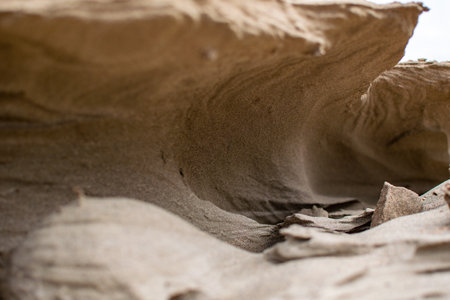 a close-up macro image of mini sand structures found along beach coastlines.の写真素材