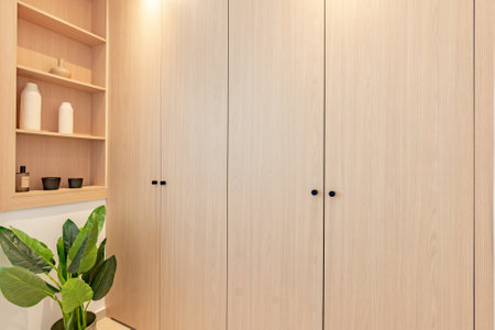 a close up image of newly fitted illuminated wardrobes and shelving in bedroom renovationの写真素材