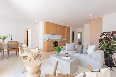 an image of an open kitchen and living space in luxury Mediterranean apartmentの写真素材