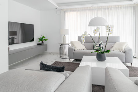 a newly furnished luxury white living room space in mediterranean mansionの写真素材