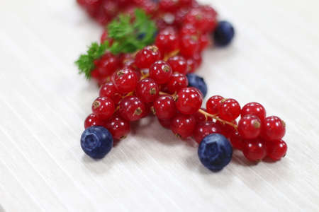 red currant on white background, studio shotの写真素材