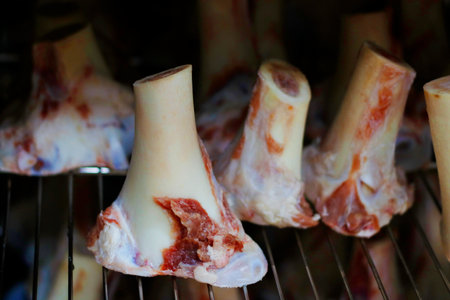 veal marrow bone  arranged on a metal rack for roasting to make saucesの写真素材