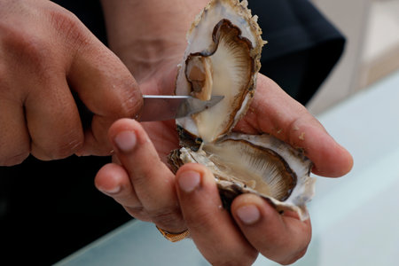 shucking fresh water oyster with  knife and bare handsの写真素材