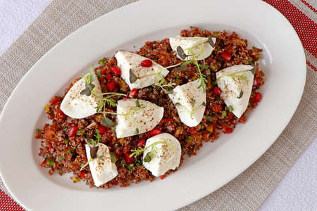 quinoa salad with buffalo mozzarella cheeseの写真素材