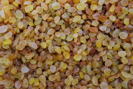Raisins are beautifully decomposed, yellow is the highest grade. Delicious background or wallpaper.の写真素材