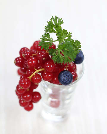 bunch of red currant in a glass with white backgroundの写真素材