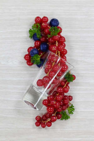 red currant on white background, studio shotの写真素材
