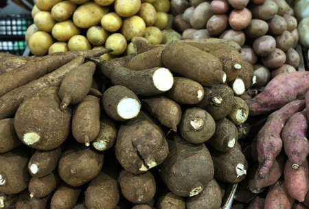 bunch of fresh cassava in market stallの写真素材
