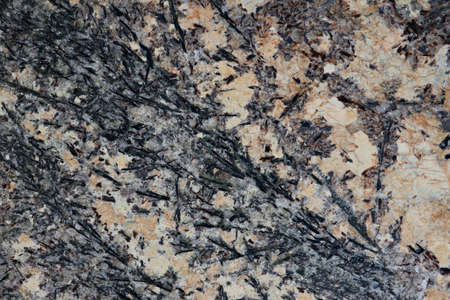 White marble used to make black textured pattern background.の写真素材