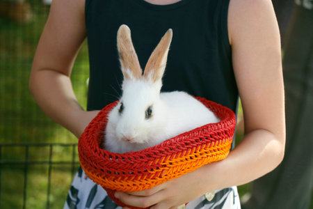 little white rabbit or hamster sitting in a small basket as a pet animalの写真素材