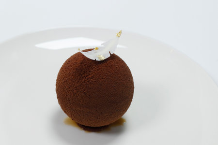 portion of chocolate ball cake filled with tiramisu, isolated with white backgroundの写真素材