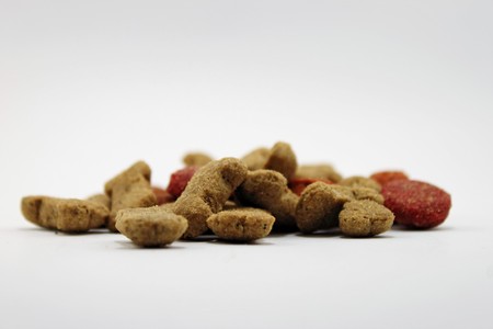 Good dog foodの写真素材