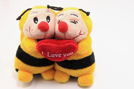 Teddy bearの写真素材