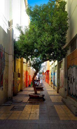 View of a street in the old town of Essaouira, Moroccoの写真素材
