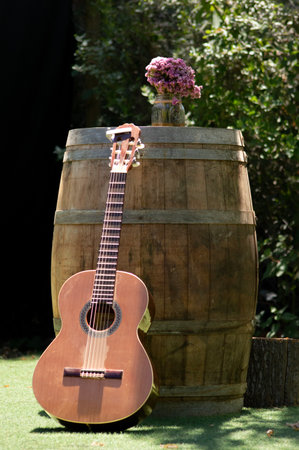 guitar in the garden with a wooden barrel and a flowerの写真素材
