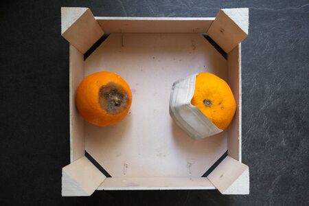 An orange protects itself from the possible contagion of its companion. Since possibly this one infected. Play on words and concept. Social distance between people due to covid19の写真素材