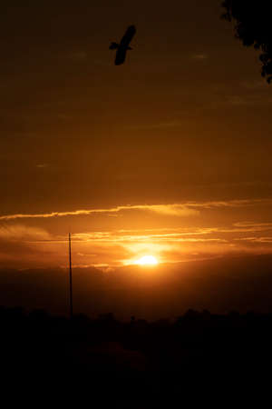 Afternoon sun in Valle del Cauca, Colombia. Typical Sunset of the region.