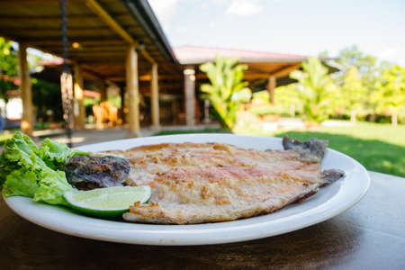 delicious and spectacular Colombian food to enjoy with family and friendsの写真素材