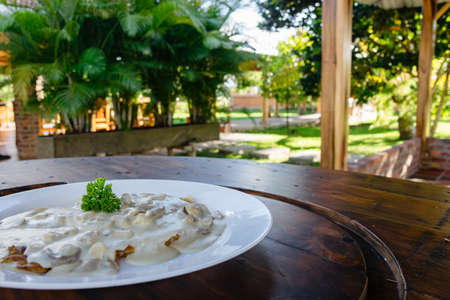 delicious and spectacular Colombian food to enjoy with family and friendsの写真素材