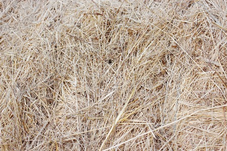 straw bale textureの写真素材